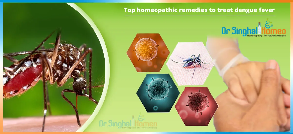 homeopathic medicine for dengue